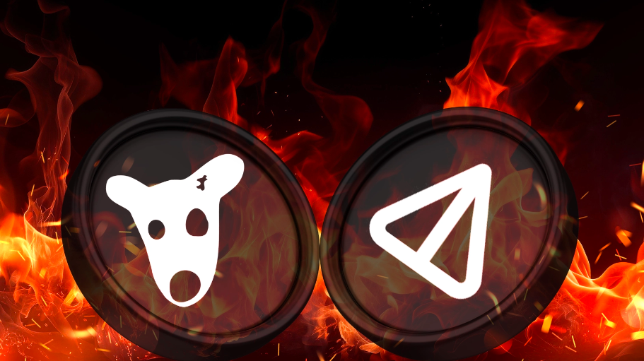 Notcoin Dogs token burning