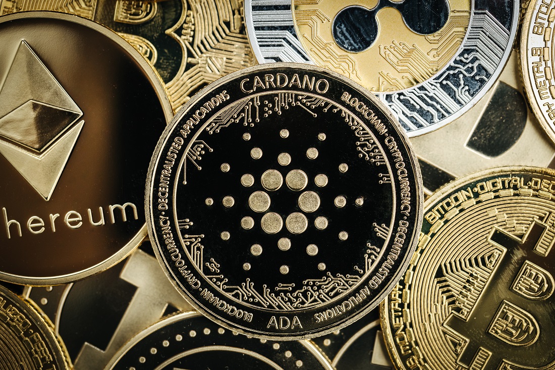 cardano airdrop