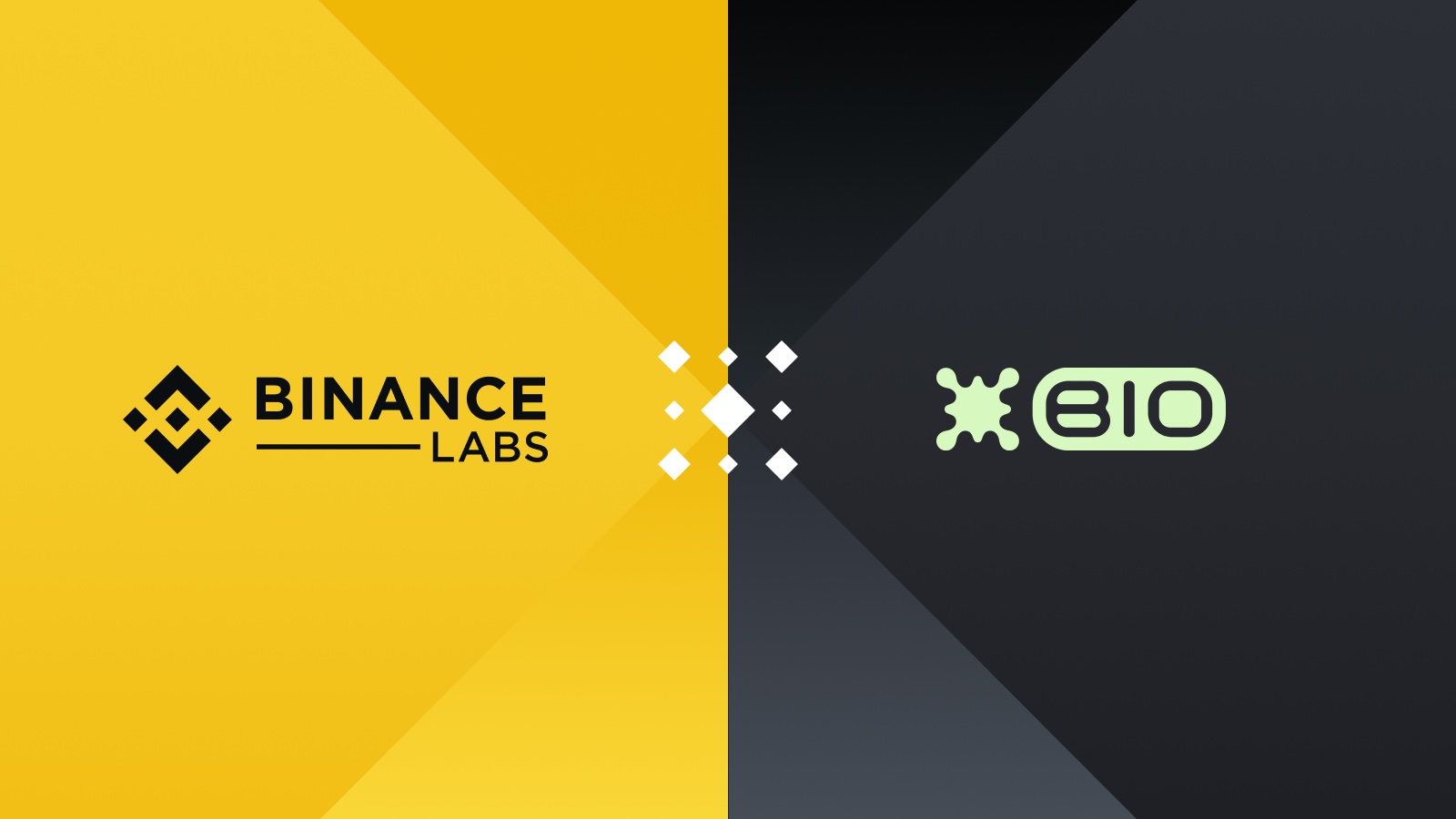 binance labs bio