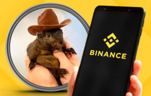 PNUT Binance listázás jogsértés