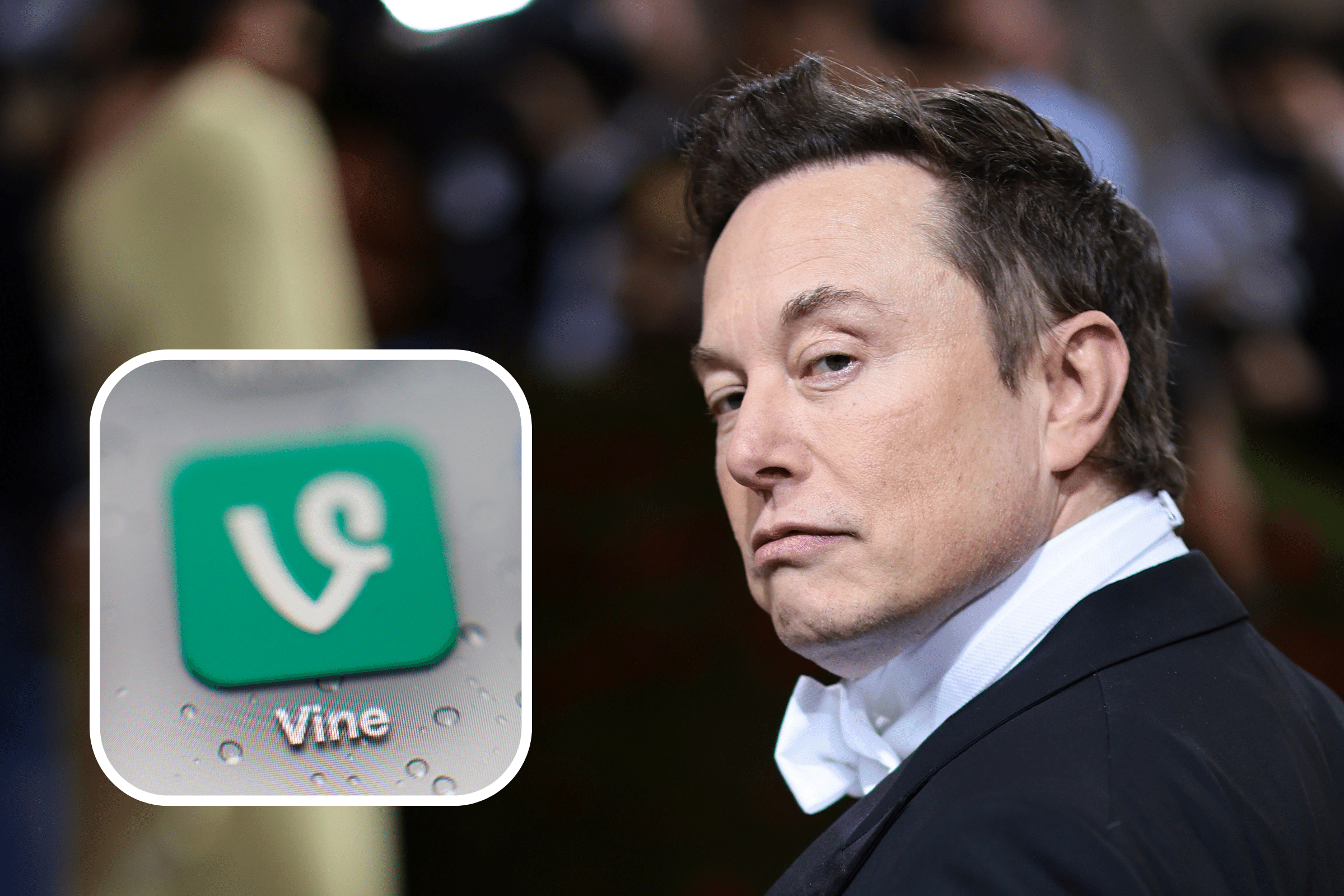 Elon Musk vine
