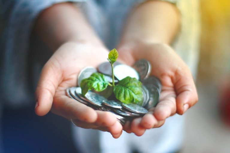 family wealth growth — Fotó: Akil Mazumder / Pexels
