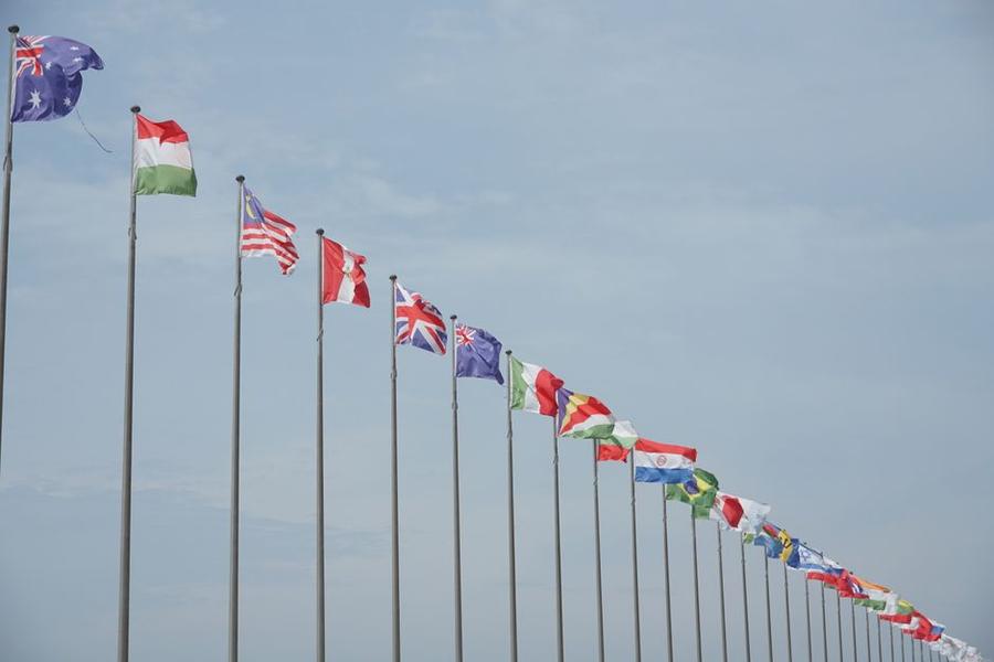 international cybersecurity alliance — Fotó: dom free / Pexels