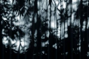 regulatory uncertainty shadow — Fotó: 𝗛&𝗖𝗢 　 / Pexels
