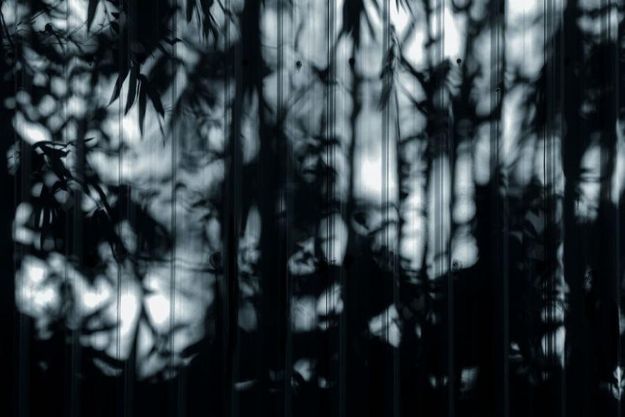 regulatory uncertainty shadow — Fotó: 𝗛&𝗖𝗢 　 / Pexels