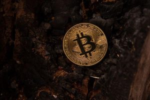 blockchain exodus crisis — Fotó: Bastian Riccardi / Pexels