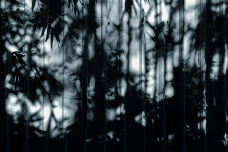 financial uncertainty shadows — Fotó: 𝗛&𝗖𝗢 　 / Pexels