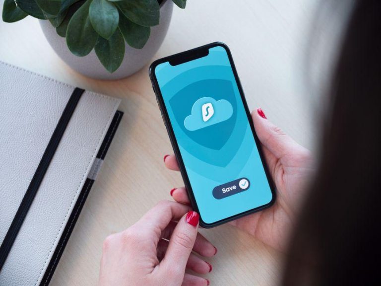 digital privacy shield — Fotó: Dan Nelson / Pexels #4973885