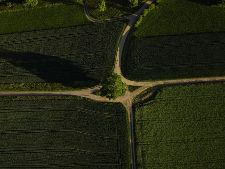 strategic decision crossroads — Fotó: Albin Ejupi / Pexels #32456546
